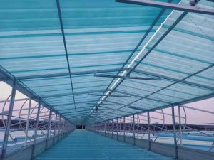 成都天府國際新機場